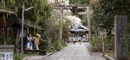 Otoyo (Kyoto)