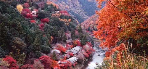 Mont Takao (Kyoto)