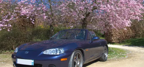 MX5 sakura