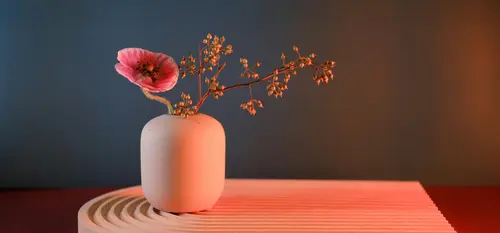 Ikebana