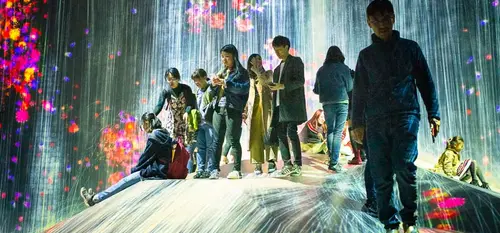 Japan Visitor - teamlab_borderless_x.jpg