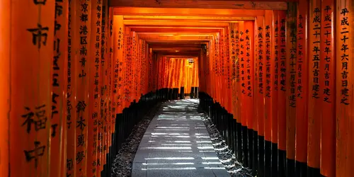Torii tunnel of Fushimi Inari, Kyoto