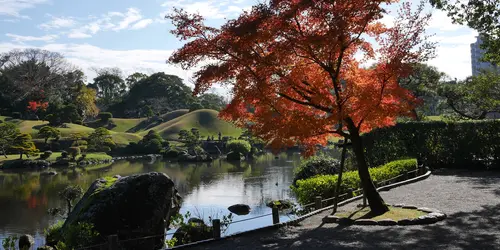 Gardens in Kumamoto