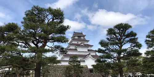 Trees in front of Tsuragu Castle, Aizu Fukushima