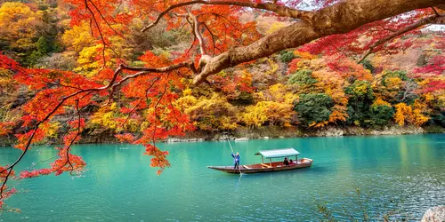 River in Arashiyama during fall : famous touristic site to visit in Kyoto