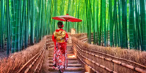 Bamboo grove in Arashiyama : famous touristic site to visit in Kyoto