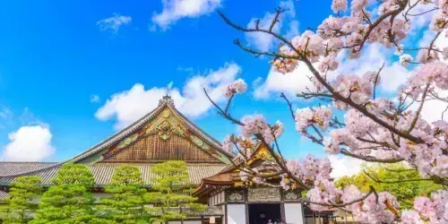 Nijo castle is a very unique castle worth visiting during your stay in Kyoto