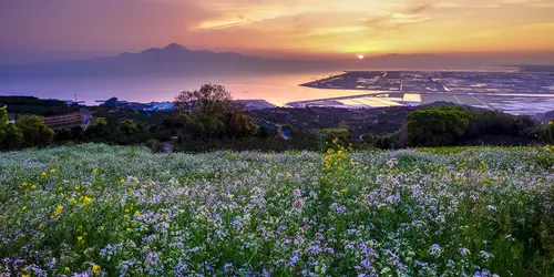 Campagne japonaise sur l'île de Kyushu au Japon, dans les environs de Kumamoto