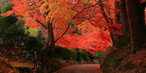 Templo de Chuson-ji en Hiraizumi - Patrimonio Mundial de la UNESCO