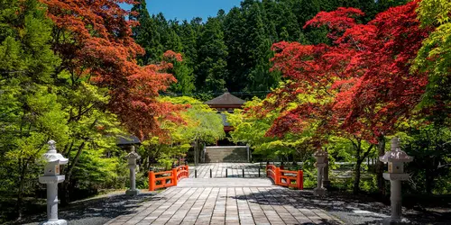 Beautiful nature and autumn foliage in Koyasan sacred valley