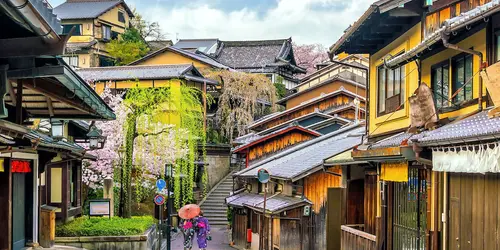 Ultimate Travel Guide to Tokyo 東京 • Just One Cookbook