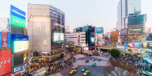Shibuya, le croisement le plus célèbre du monde !