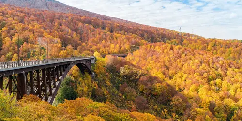 Pont au couleur du Printemps, Aomori
