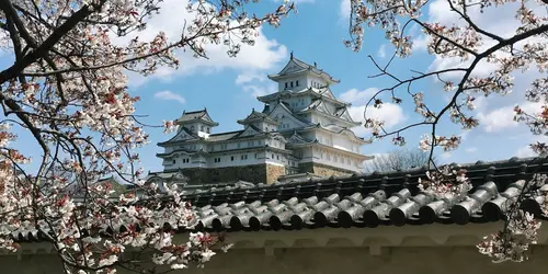 himeji castle cherry trees japan kyoto train tickets