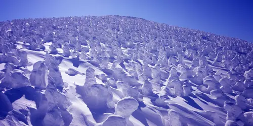 "Snow Monsters" at Zao Onsen