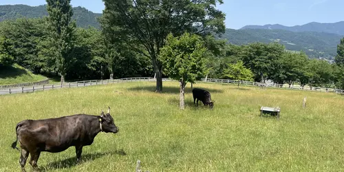 Tajima Farm Park, Hyogo Prefecture