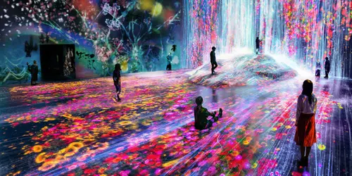 Actividad en Japón: teamLab Borderless | Japan Experience