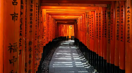 Torii tunnel of Fushimi Inari, Kyoto