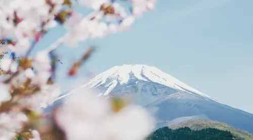 Spring in Japan