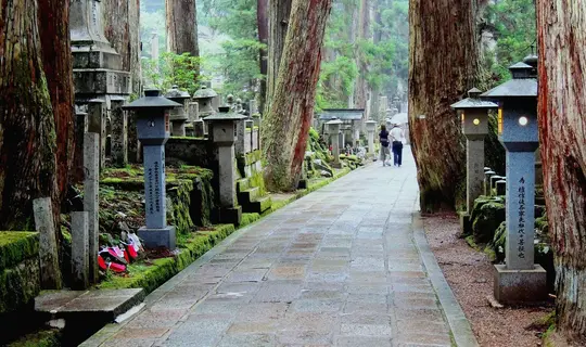 Travel Japan  Japan National Tourism Organization Official Site