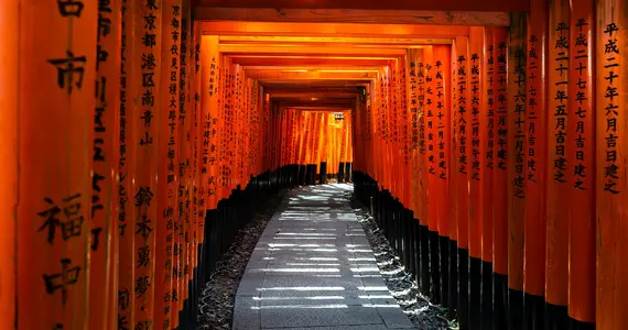 Torii tunnel of Fushimi Inari, Kyoto