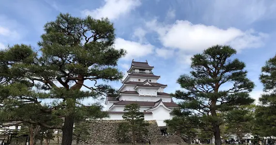 Trees in front of Tsuragu Castle, Aizu Fukushima