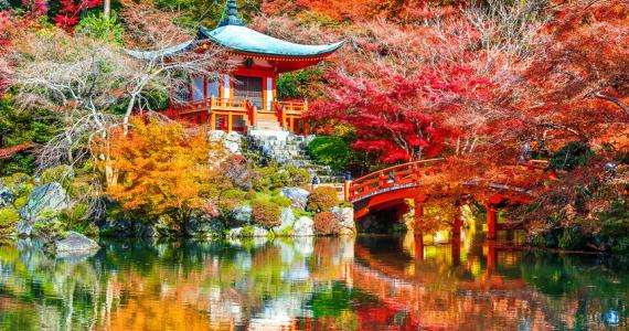 Temple à Kyoto pendant la saison des érables rouges à l'automne