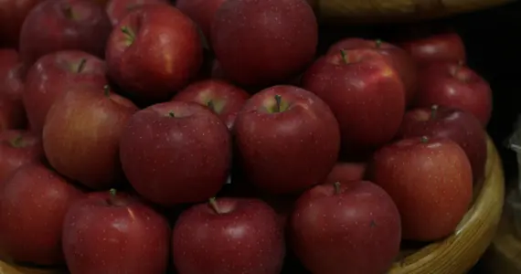 Aomori apples