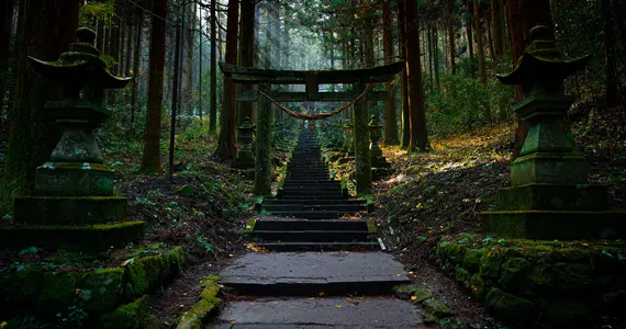 Torii Gates