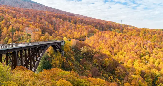 Bridge surrounded by autumn leaves, Aomori