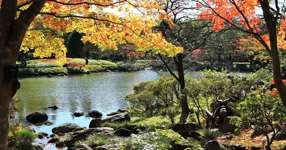 Showa Kinen Koen, Tokyo
