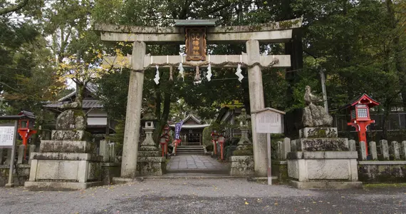Miyake Hachimangu, le sanctuaire du pigeon