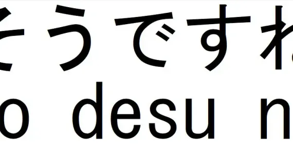 Meanings and uses of the Japanese phrase "so desu ne"