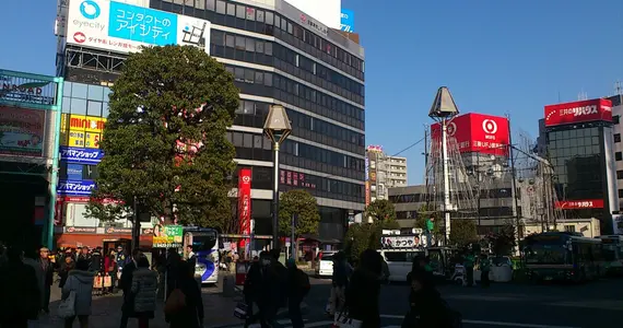 Sous ses airs de banlieue tranquille, le quartier de Kichijôji abrite le musée Ghibli et l’Inokashira Onshi Koen.