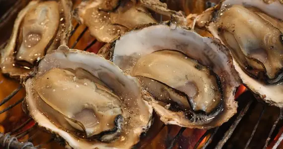 Oysters Miyajima