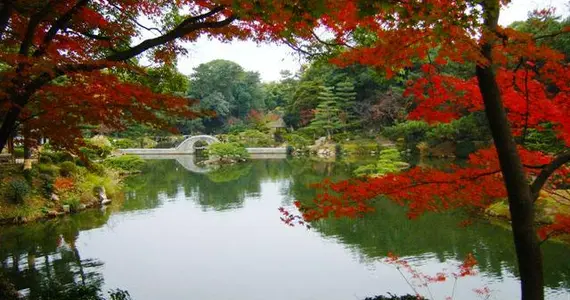 Ahornbäume im Park Shukkei-en