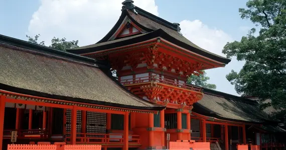 Usa-Jingu