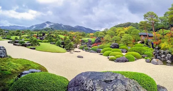 Jardín de rocas y pino en el Museo de Arte Adachi.