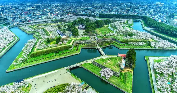 La forteresse Goryokaku vue depuis sa tour