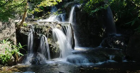 Cascades du jardin Shirotori