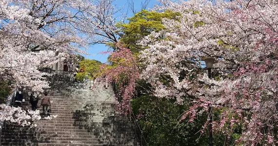 Nishi koen park steps, near Terumo jinja shrine, Fukuok