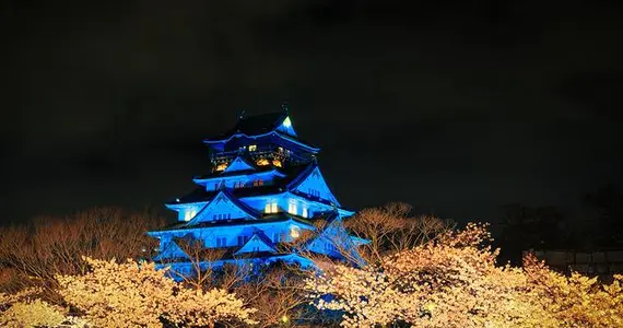 Admirez les "yozakura", cerisiers nocturnes, au parc du château d'Osaka