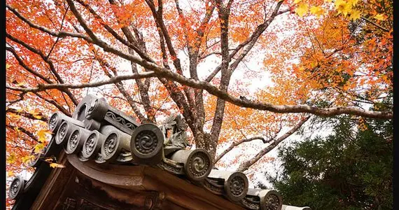 Le temple Jingo-ji à Takao
