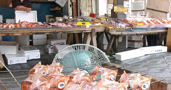 Marchand de poissons du marché de Nijô