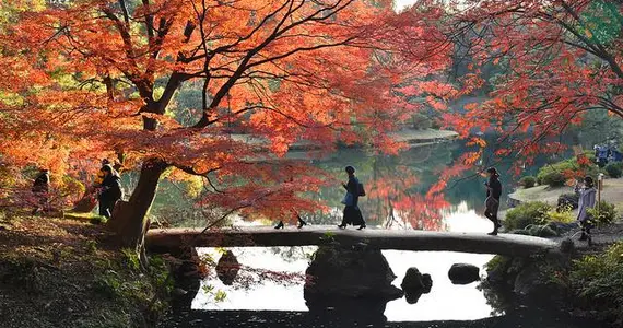 Rikugien