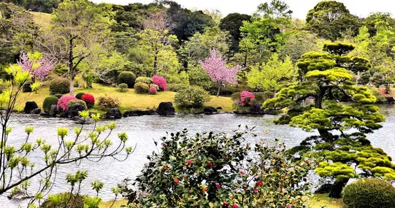 Japan Visitor - expogarden1.jpg