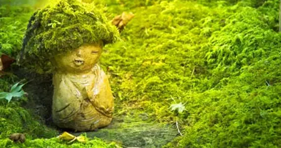 Japan Visitor - sanzen-in-2017-2.jpg