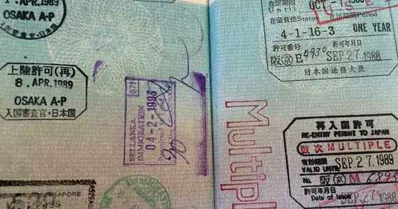 Japan Visitor - visa2091.jpg