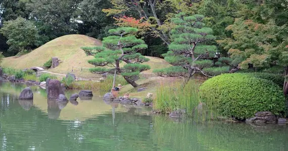 Japan Visitor - yokokan-1.jpg