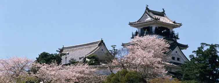 Kochi Castle, Kochi